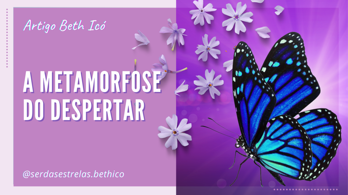 A metamorfose do despertar